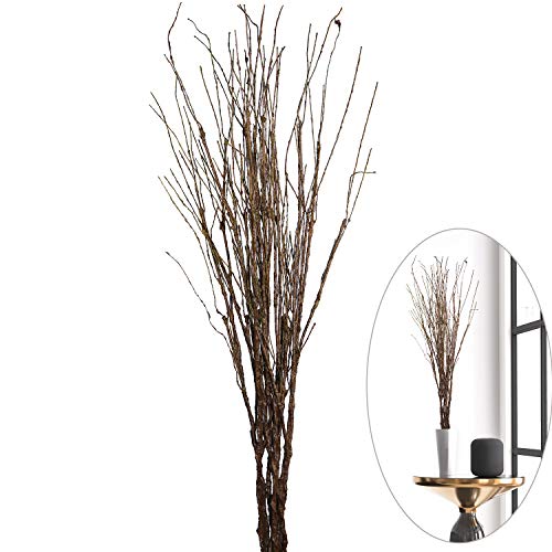 MISSWARM 10 PCS Artificial Twigs Curly Willow Branches, 30.7 Inches Lifelike Bendable Artificial Branch Flower Dried Stems for Home Decoration