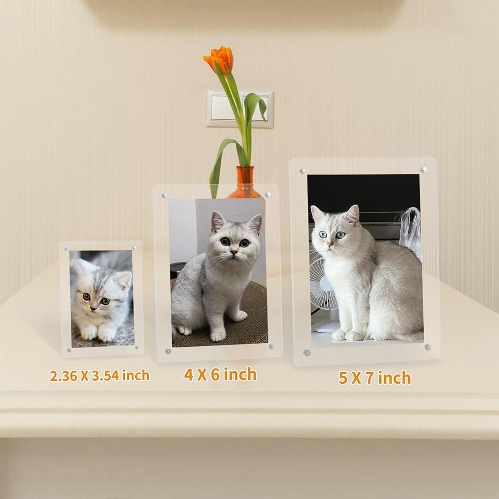 PICASSO SIGNAGE Mini Magnetic Acrylic Photo Frame 2.36x3.54 Inch | Double-Sided Clear Display | With Stand for Desk & Fridge | Instax Polaroid Mini Film Frame | Home Office Decor (Pack of 1) 1