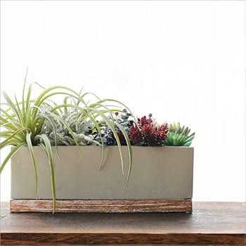 Amazon.co.jp: 鉢 プランター セメント 長方形 横長 おしゃれ かわいい Amazon.co.jp: 鉢 プランター セメント 長方形 横長 おしゃれ かわいい