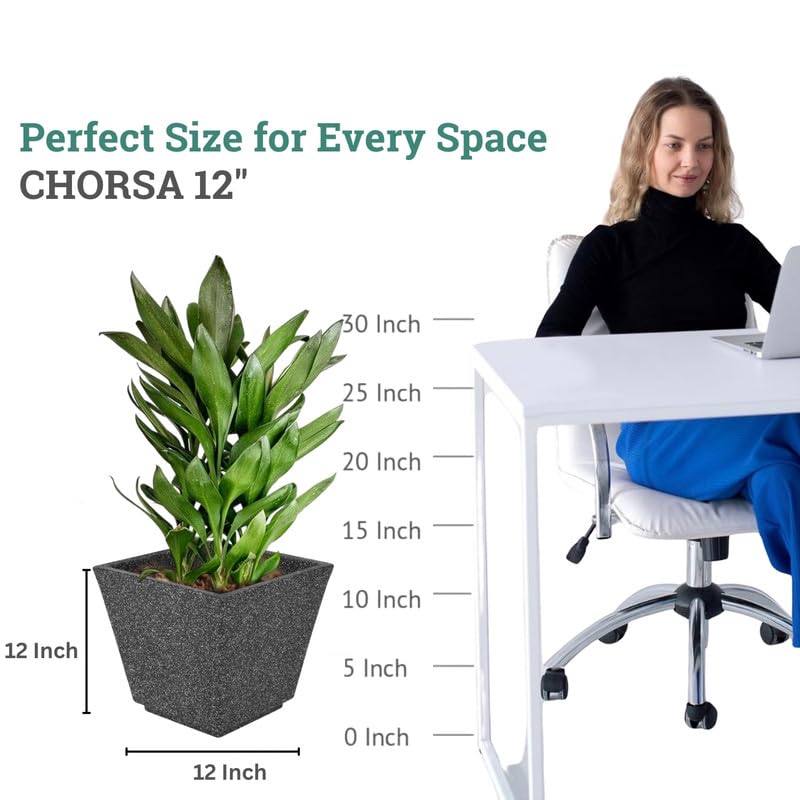 Image of Amazon Brand - Umi 12 Inch Planter Pot | Flower Pot for Indoor & Outdoor Use | Square Shape Planter Pot for Home & Office Decor Balcony & Terrace Gardens (Chorsa, Black)