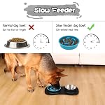 MateeyLife Dog Food and Water Bowl Set 3 in 1, Slow Feeder Dog Bowls & Stainless Steel Water Bowl with Non-Spill Silicone Mat, Cat and Puppy Bowls Pet Dishes for Small Medium Large Breed Anti-Choking - Image 2