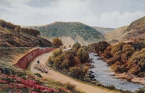 Arte mural de alta definición Rhayader en la Wye impreso para una decoración sofisticada