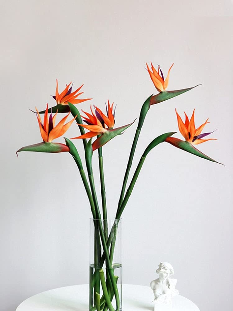 5 szt. sztuczna strelitzia, sztuczny kwiat ptak raju, 50 cm symulacja plastikowa roślina do aranżacji kwiatowych sztuka wakacje dom dekoracja na imprezę