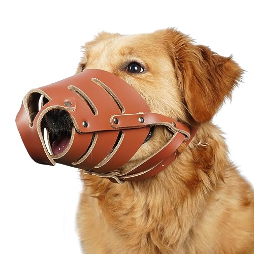 Leather Muzzle for Dogs The 15 best products compared Wild Explained