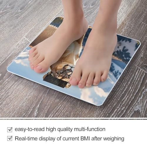 Báscula Digital de Baño FekiLoot con Plataforma Grande miniatura 5