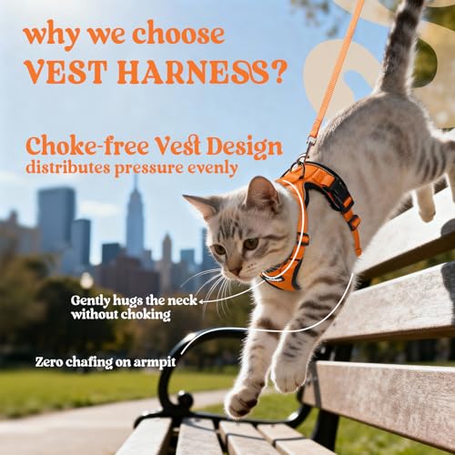 Image of rabbitgoo Cat Harness and Leash Set, Escape Proof Vest, Orange | Soft Breathable Mesh, Easy Adjustable Fit, Snap Buckles, Sturdy Clip, Reflective Strips, for Medium to Large Cats Walks, M