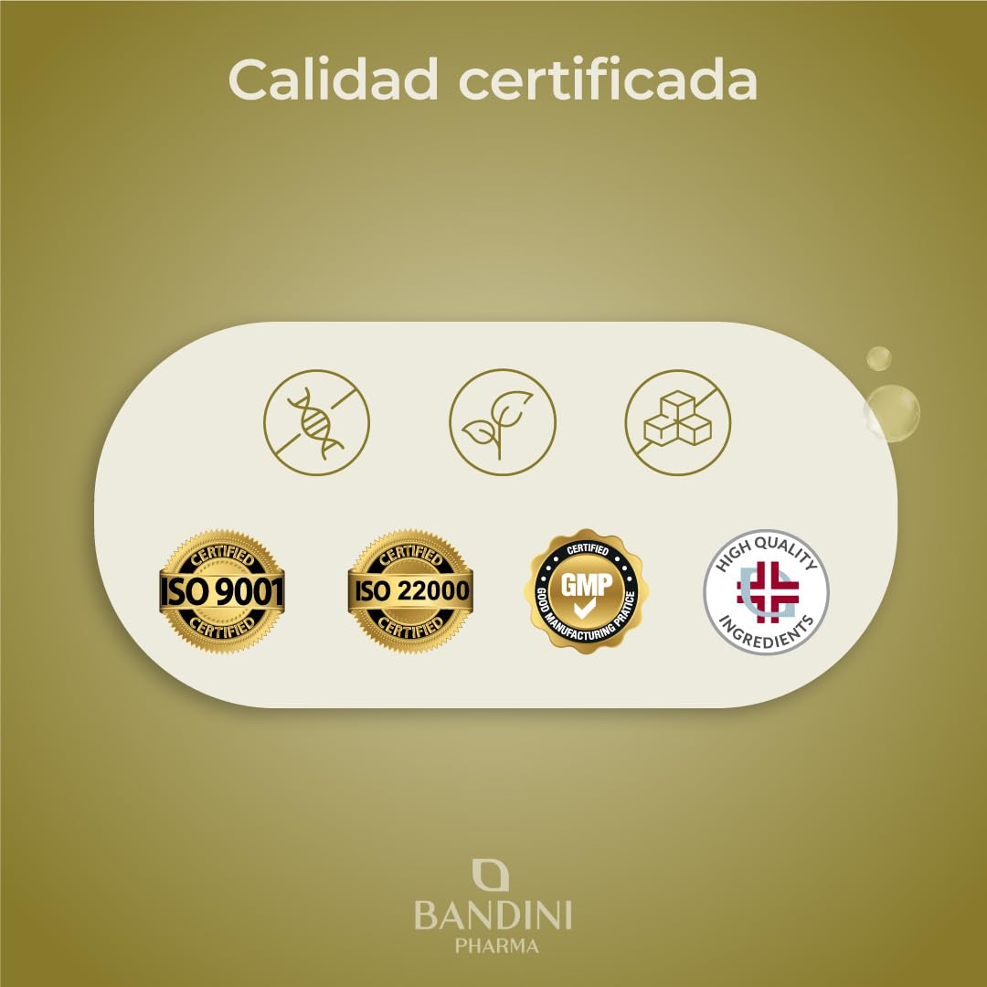 Bandini® Citicolina CDP 500 MG - 125 comprimidos - Suplemento de CPD Colina - Apoyo natural de alta dosis para el funcionamiento normal de las células y dieta equilibrada - Sin aditivos, 100% Vegano