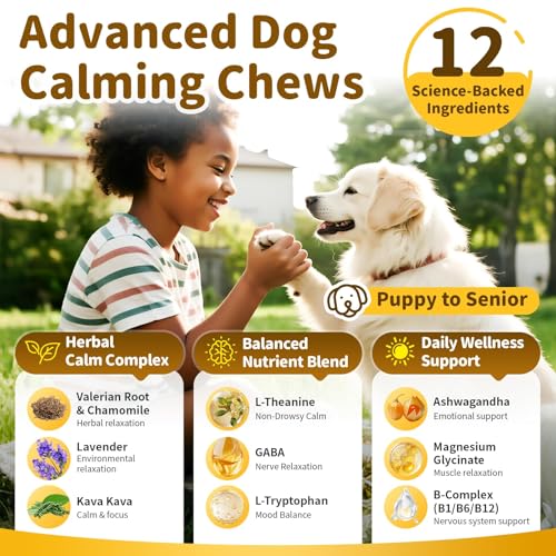 Image of Calming Chews for Dogs - 12-in-1 Dog Calming Treats with Herbal & Vitamins, Relaxation, Focus & Behavior Support for Anxiety, Separation, Barking, Travel, Stress, Upgraded Bacon Flavor, 90 Ct