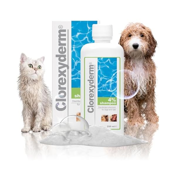 Shampoos für Haustiere Clorexyderm Sh 4% 250 Ml – Bild 10
