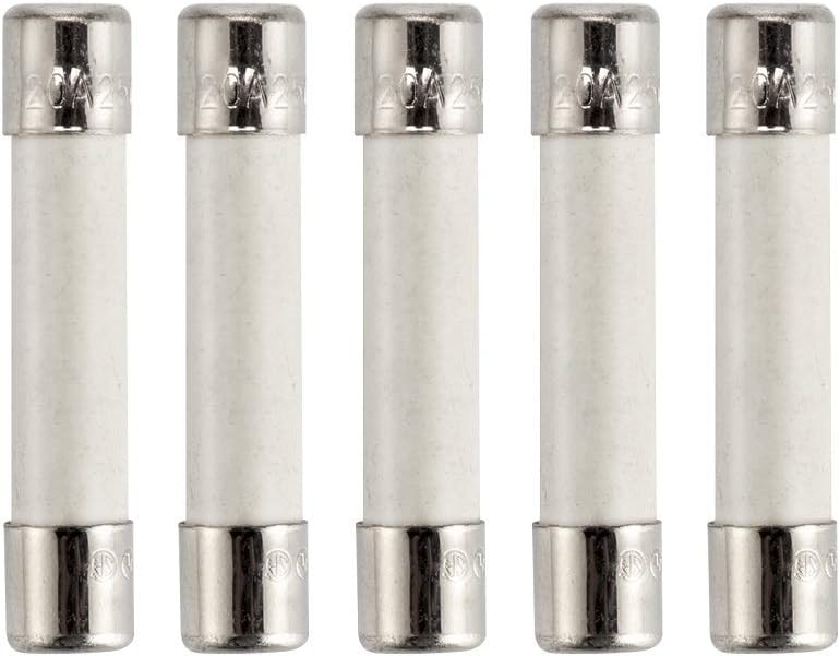 Microwave Fuse Ceramic Fuse Cartridge Fuse 20 Amp 250V Slow