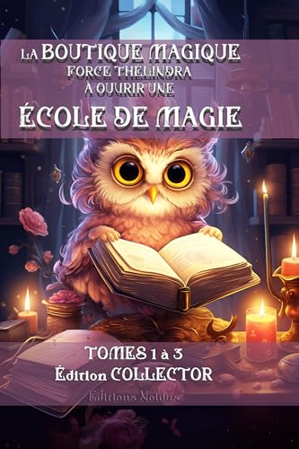 LA BOUTIQUE MAGIQUE FORCE THÉLINDRA À OUVRIR UNE ÉCOLE DE MAGIE - Édition Collector Tome 1, 2 et 3 DYS: LA BOUTIQUE MAGIQUE DE SAINT GEORGE + L'ÉCHO DE LA...