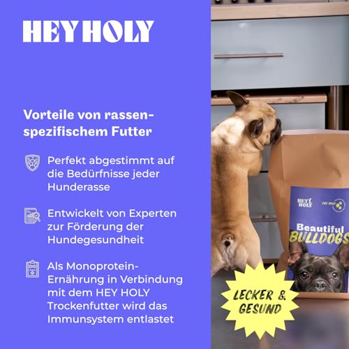 HEY HOLY Premium Hundeleckerlis für Bulldogen 100% getreidefrei | Hunde Snacks | 4 x 150 g Leckerli für ausgewachsene Bulldogen mit Lachs | Hochverträglich aus natürlichen Zutaten