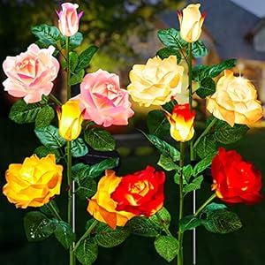 Brightown Outdoor Solar Garden Lights – 4 Pack LED Solar Flower Lights with Larger & More Realistic Rose, Bigger Solar Panel, Waterproof Solar Lights for Outside Yard Patio Valentines Day Decorations