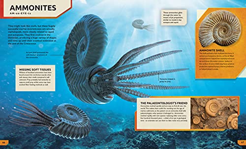 The Ultimate Dinosaur Encyclopedia: Enhanced with Stunning Interactive 3D Models and Videos 8 51l1m CieNL