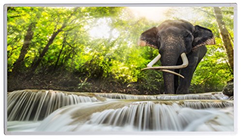 IH Engineering BV Bild Infrarotheizung mit Digitalthermostat - Made in Germany, Elektroheizung TÜV GS, 5 Jahre Garantie(600Fluss m. El.