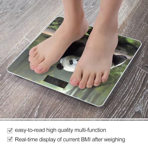 Báscula digital de baño de vidrio templado 400 lb miniatura 5