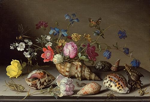 Impression Tableaux Graffiti Art Mural Fleurs et Coquillages pour Décoration Salon Moderne