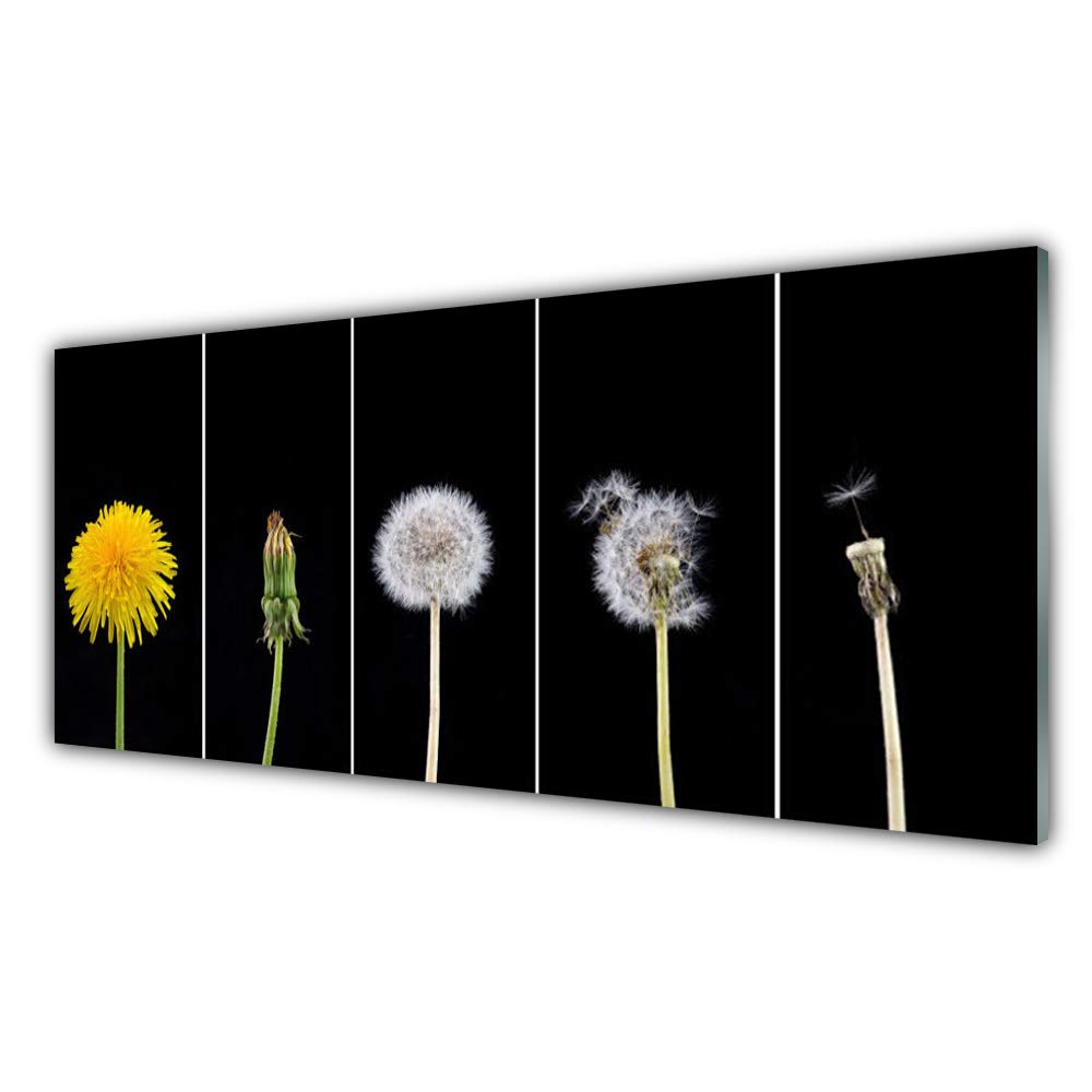Impression sur verre trempé 125x50cm déco design Semences Head Floral Tulup