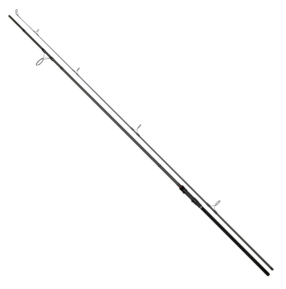 DAIWA 大鯉　鯉釣り カープフィッシング　2本セット DAIWA 大鯉鯉釣り カープフィッシング2本セット