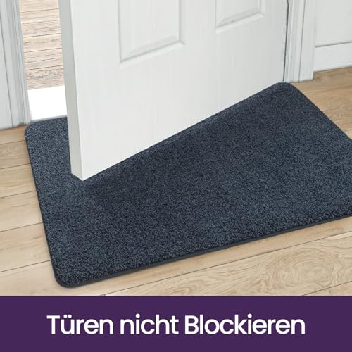 DEXI Fußmatte Innen 80 x 120 cm, rutschfeste Schmutzfangmatte, Maschinenwaschbare Fussmatte, Saugstarke Türmatte, Sauberlaufmatte, Eingangsteppich für Hund, Haustür & Flur, Blau-schwarz