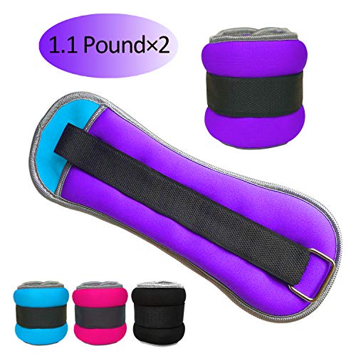 51l20Tvh4lL - Home Fitness Guru