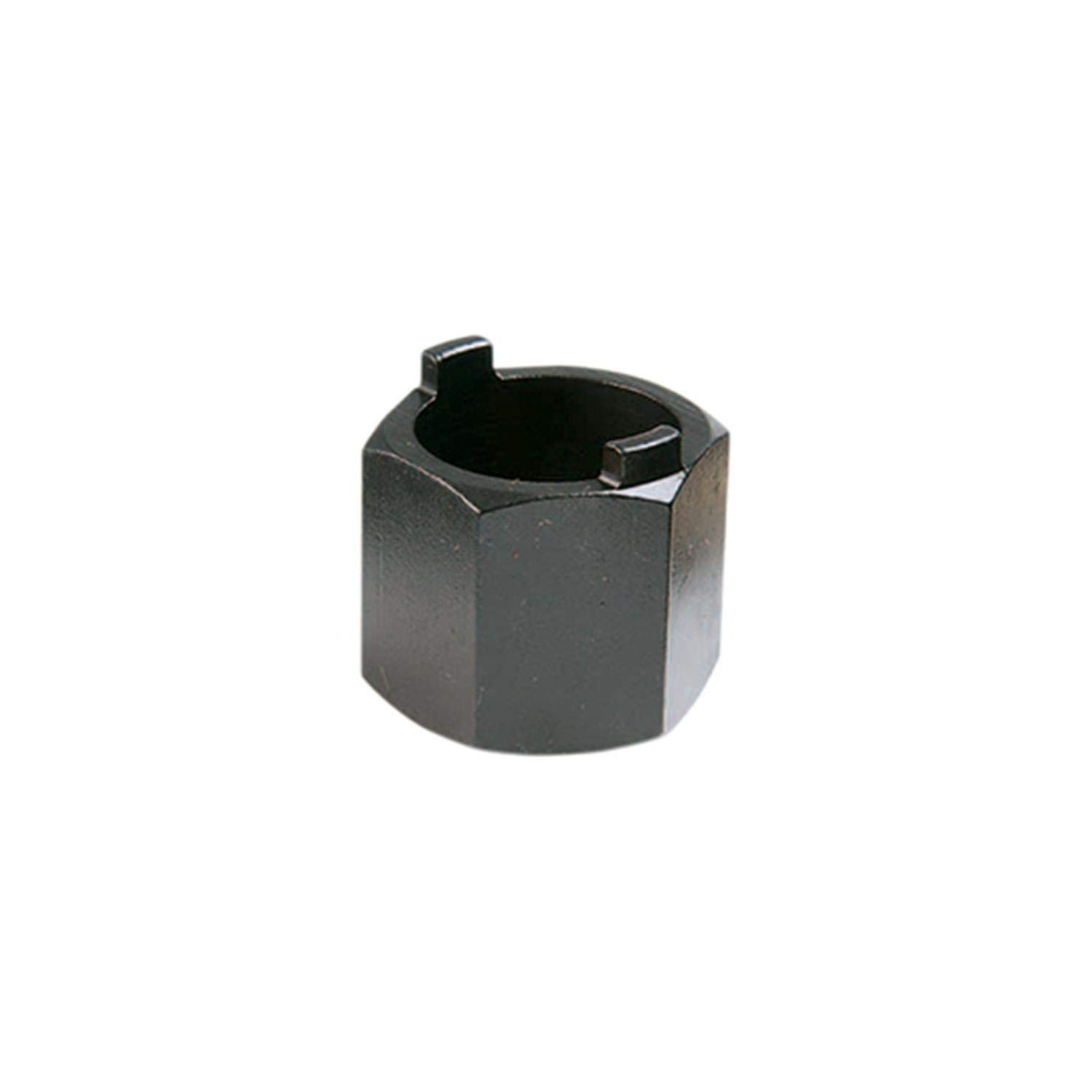 VAR Piñón -Extraktor