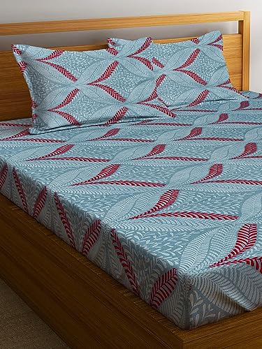 Image of Home Sizzler 144TC Vibrant Vines Baby Blue Double Bedsheet with 2 King Size Pillow Covers