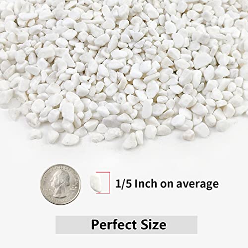Image of YISZM 10LB Succulent and Cactus Gravel, 1 /5 Inch White Natural Decorative Polished Pebbles for Landscaping, River Rocks for Plants, Vases, Aquariums, Terrarium and Outdoor Gardening