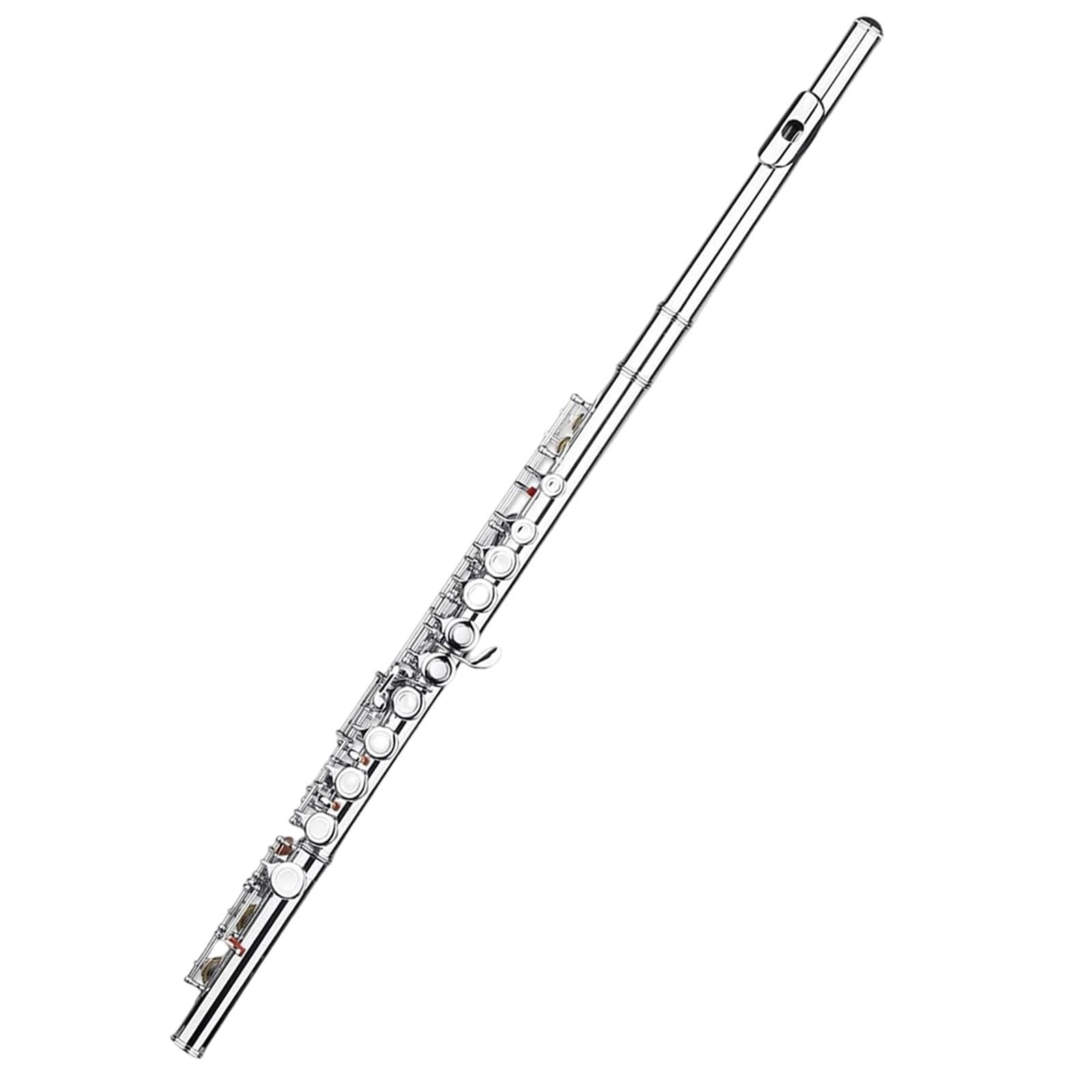 Flauto strumenti musicali Chiave E Per Flauto A Tono C 16 Fori In Ottone Bianco Nichelato Argento I Principianti Si Esercitano Suonare(Type 1)