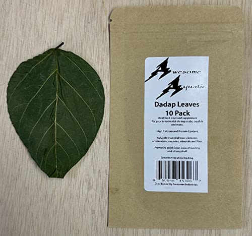 Image of Awesome Aquatic Dadap Leaves Premium Leaf Food for Shrimp Crayfish Crabs Snails Ancistrus and More High Calcium /Protein Levels with Essential Vitamins Minerals Amino Acids Trace Elements (Dadap 10 Pk)