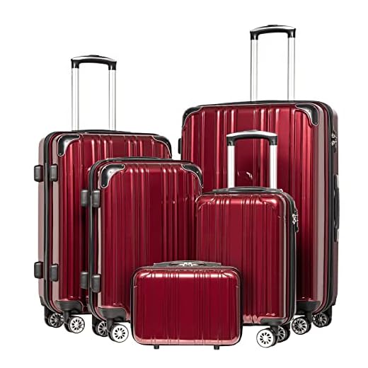 Do cruise lines loose luggage Coolife Expandable Luggage Set for Travelers