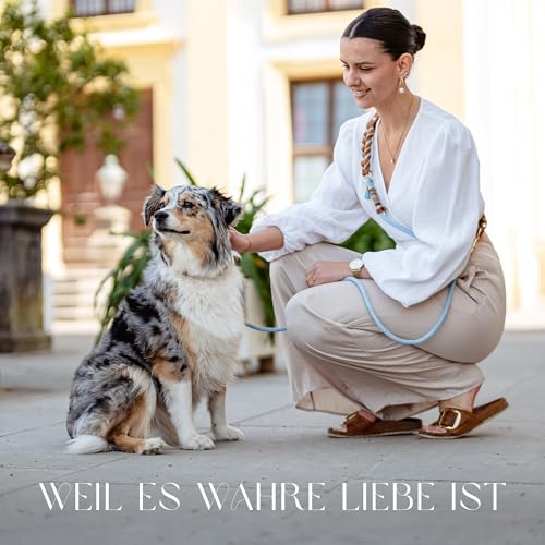 FAMBLANETIA Hundeleine Leder (2,4m), Paracord | mittelgroße, große & kleine Hunde | Geflochtene Führleine zum Umhängen | 2 Karabiner verstellbar | Hochwertig Fettleder handgemacht braun blau Luxus Tau