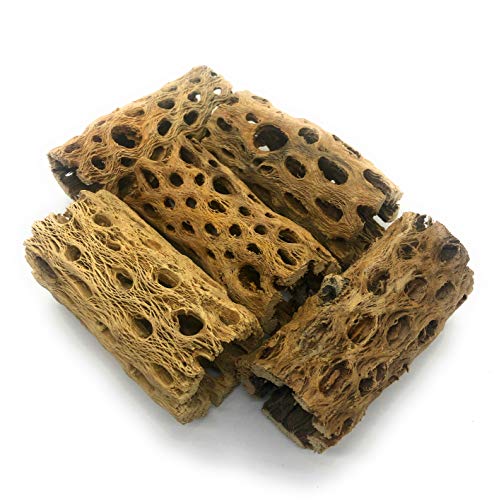 SubstrateSource "Cholla Tubes Aquarium Driftwood Decoration 4 Inches (5 Pieces)