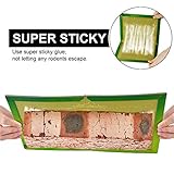 HTBAKOI B08G8BB565 lato 4