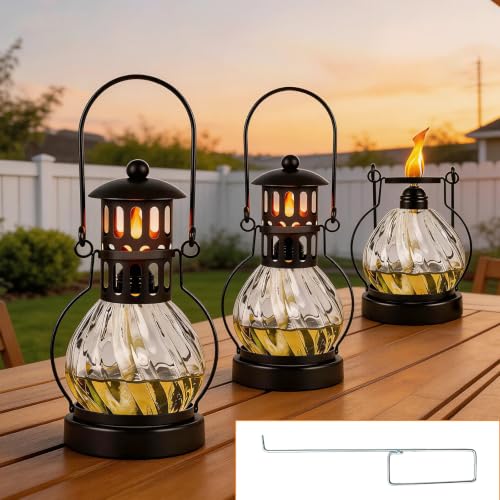 CMAQIL 3 Pcs Glass Table Top Torches, 14 oz Citronella Torches for Outside