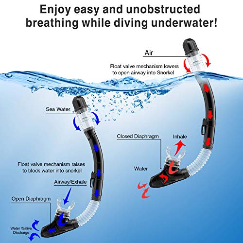Snorkel Set Adult,Snorkeling Set with Panoramic Snorkel Mask Diving Goggles,Dry Top Snorkel and Adjustable Fins,Scuba Diving Snorkeling Mask for Men Women