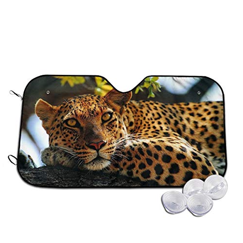 TVF[h  qE  ԗp  ԃKXp tgO/ Ռ fM z4t ȒPt [