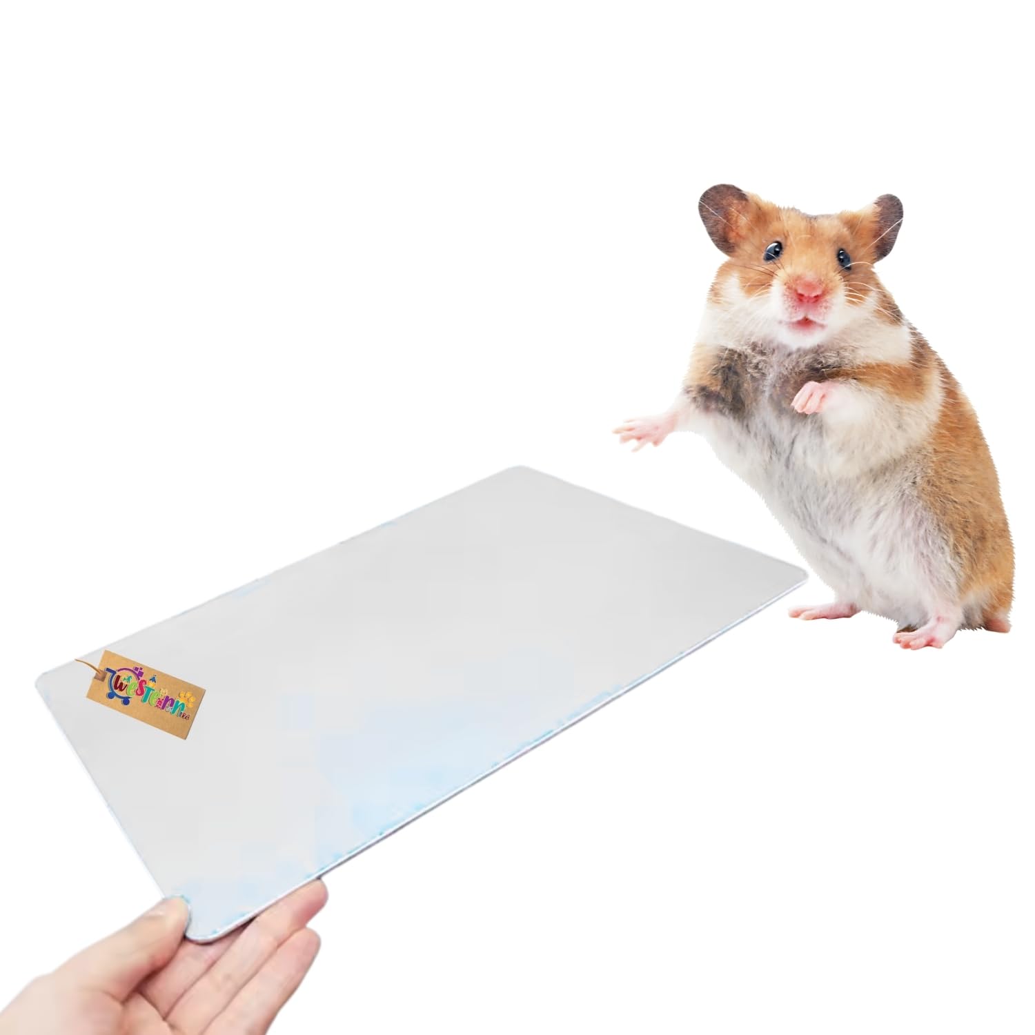 western era hamster aluminium cool mat for small pets like hamsters, guinea pigs, rabbits | cooling pad for summer heat relief | cool pad for small animals sleeping & resting comfort (4 * 8cm)