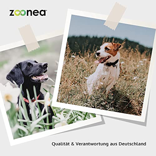 Zoonea® Leber Vital 250g - Leberfunktion & Leberunterstützung für Hunde | Perfekt abgestimmte Kräutermischung für bis zu 145 Tage