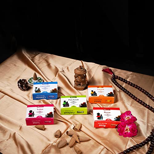 Image of Aromatika Natural Backflow Incense Cones, 5 Packs 5 Fragrances 50 Pcs, (Sandal, Lavender, Patchouli, Rose, Lotus) | Pack 'B'
