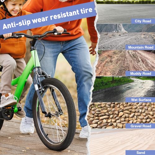 BALINGE 20x2.125 BMX Tire 2-Pack