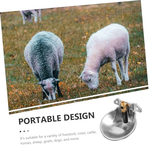 NOLITOY Bebedouro Automático Para Vacas Ferramenta Para Gado Alimentador De Água Para Ovelhas Bebedo