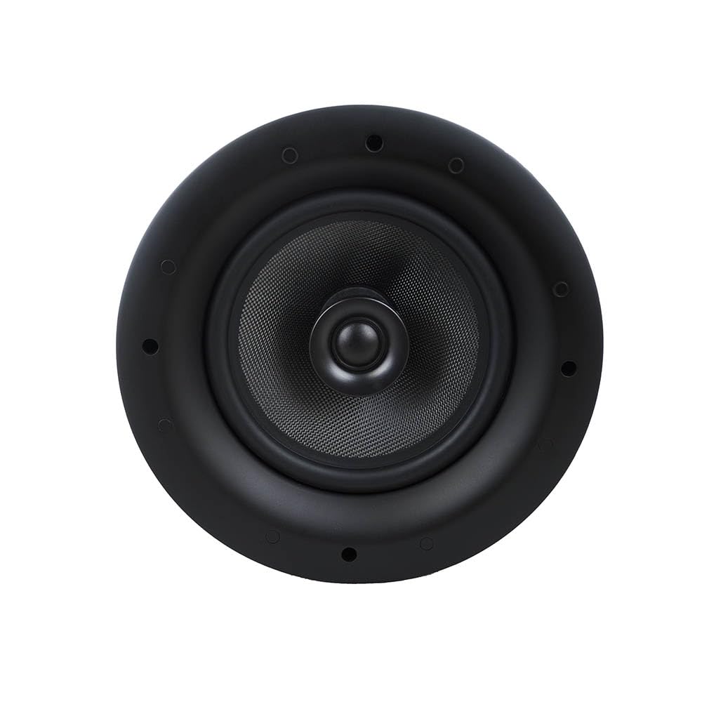 Davis Acoustics 210 RO Pro Enceinte encastrable Passive 150 W