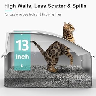 Stainless Steel Litter Box | XXL Deepened 8" Design Enclosed Box with Lid for Big Cats | High Sided, Anti-Urine Leakage | Non-Stick Bottom & Includes Litter Mat & Metal Scoop
