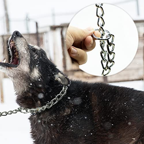 Collier en métal pour chien, parfait pour dressage et promenade