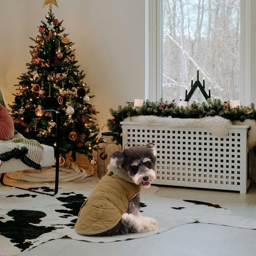 Queenmore Hundejacke Kleine Hunde Hundemantel Winter Warme Wintermantel Hund Wasserdicht Quilten Hundebekleidung Winter Hundepullover Für Dackel Chihuahua Pudel Bulldogge Beagle, Braun, XS