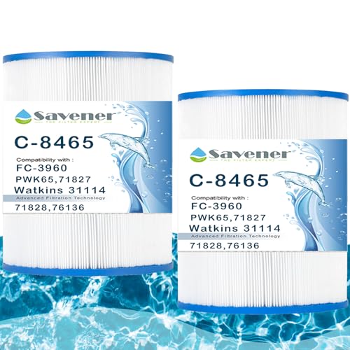 C-8465 Spa Filter Cartridge Replacement for Watkins 31114, Hot Spot Spa Filter, FC-3960, 71827, 71828, 80651, Watkins 65 sq.ft. 2 Pack