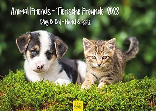 Calendario 2025 Gatos Edition Seidel Calendario Premium Para Gatitos 2026, Formato DIN A3 Calendario 2025 Gatitos