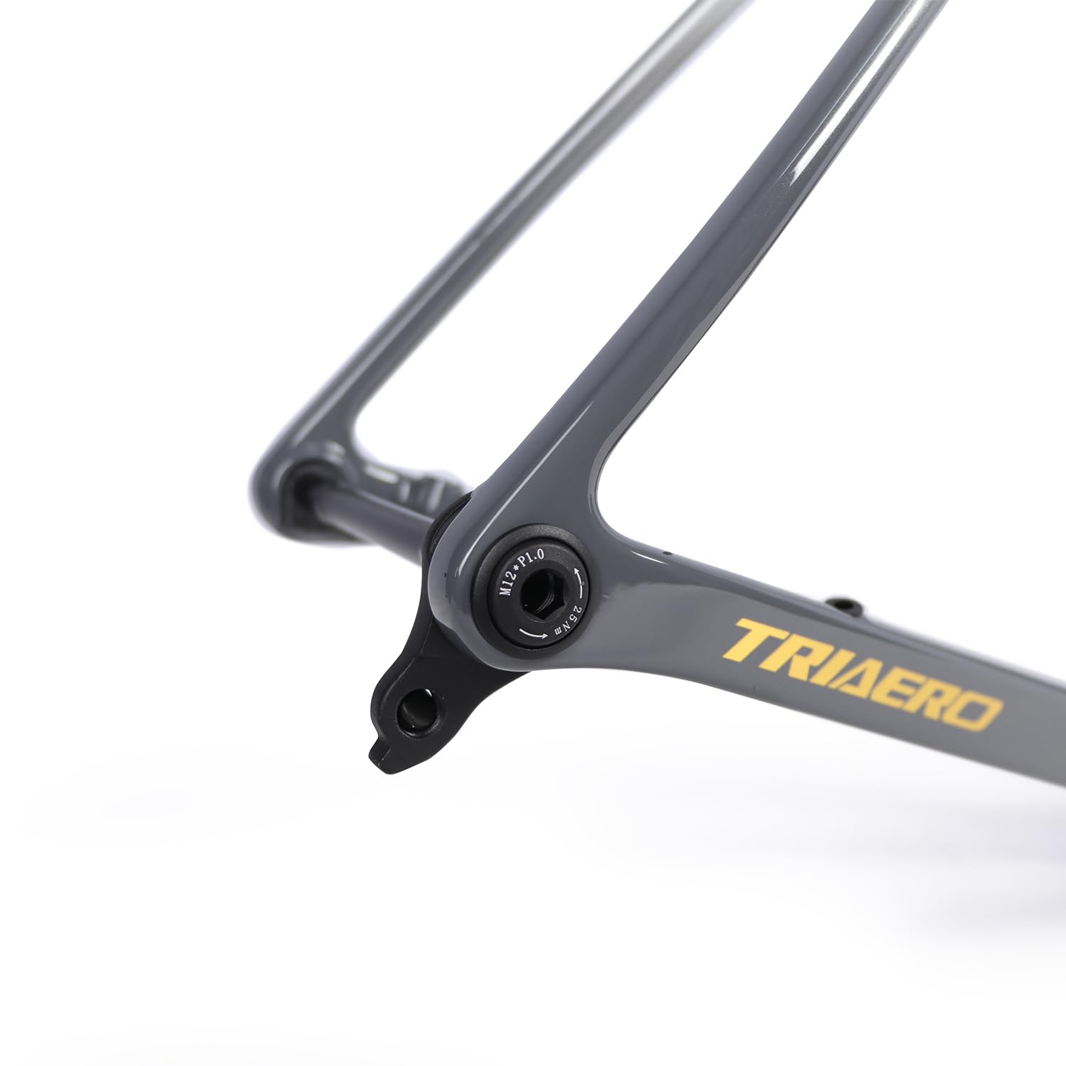 Flyee Carbon Disc - Set telaio per bici da corsa UCI T47 BB e gancio UDH