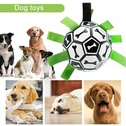 Jouet d'eau indestructible pour chiot et accessoire à mâcher